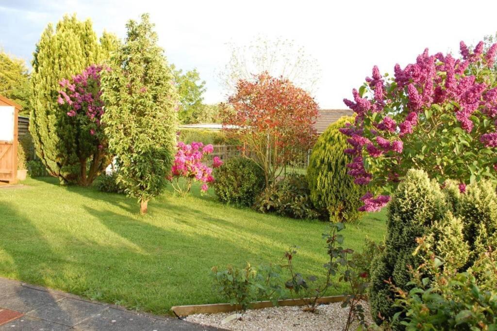 Mews With Garden Views Apartment Карлоу Екстериор снимка